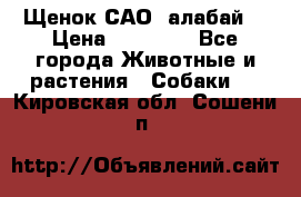 Щенок САО (алабай) › Цена ­ 10 000 - Все города Животные и растения » Собаки   . Кировская обл.,Сошени п.